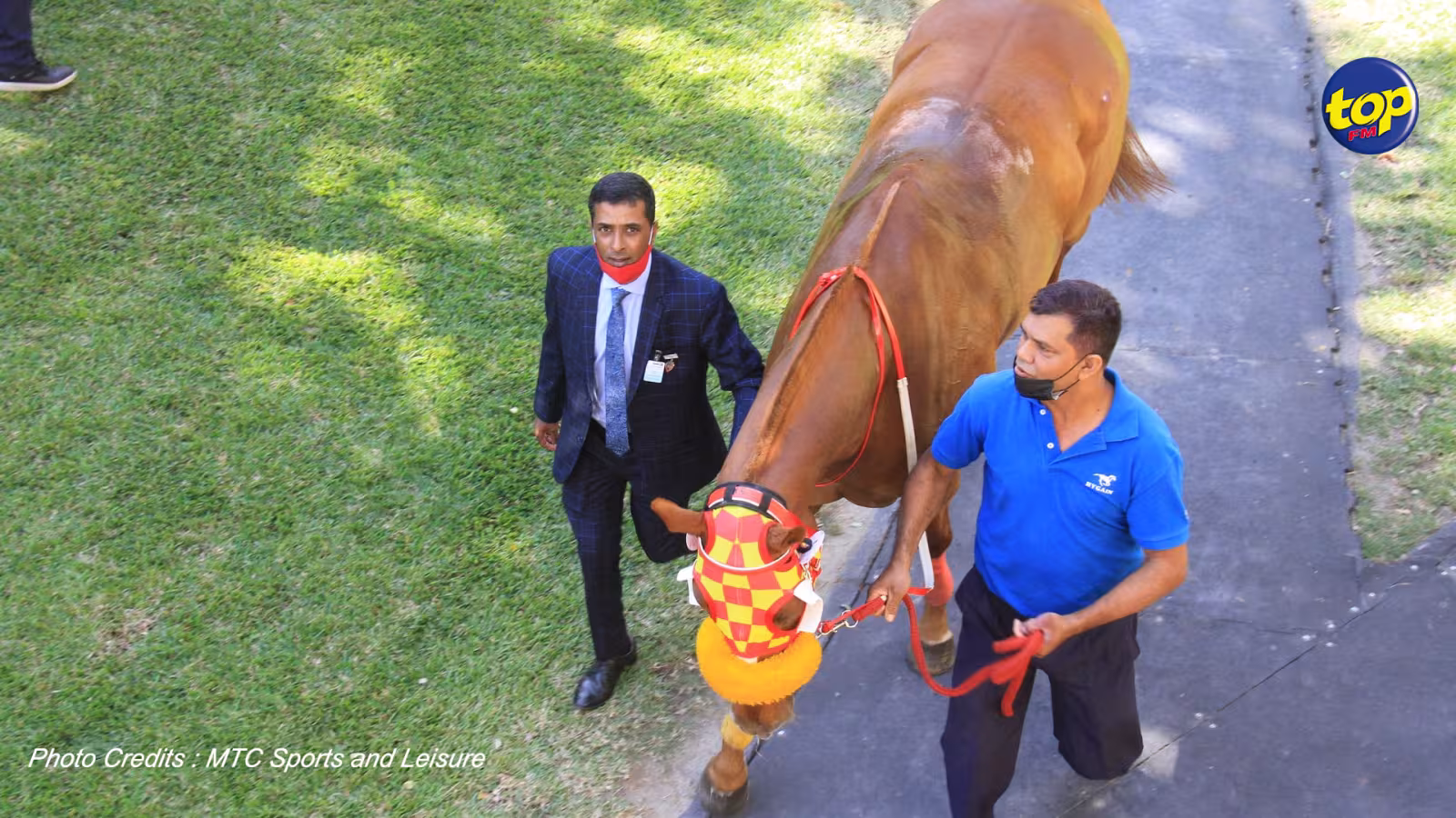 Hippisme : Samraj Mahadia obtient sa licence d’entraîneur