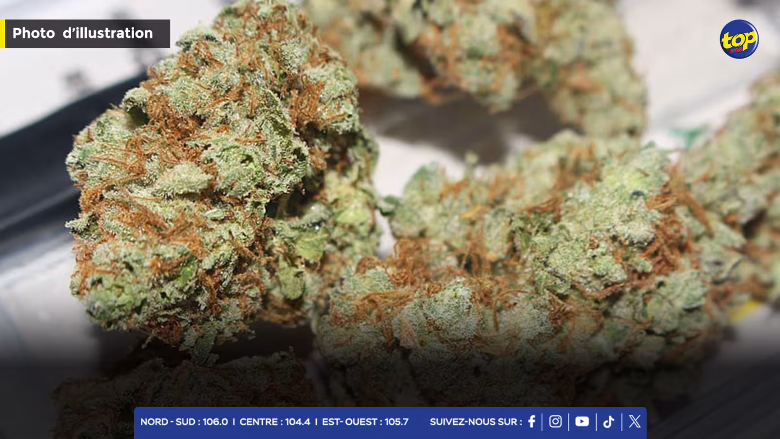 À l’aéroport SSR : saisie d’un colis contenant 17 kilos de cannabis 