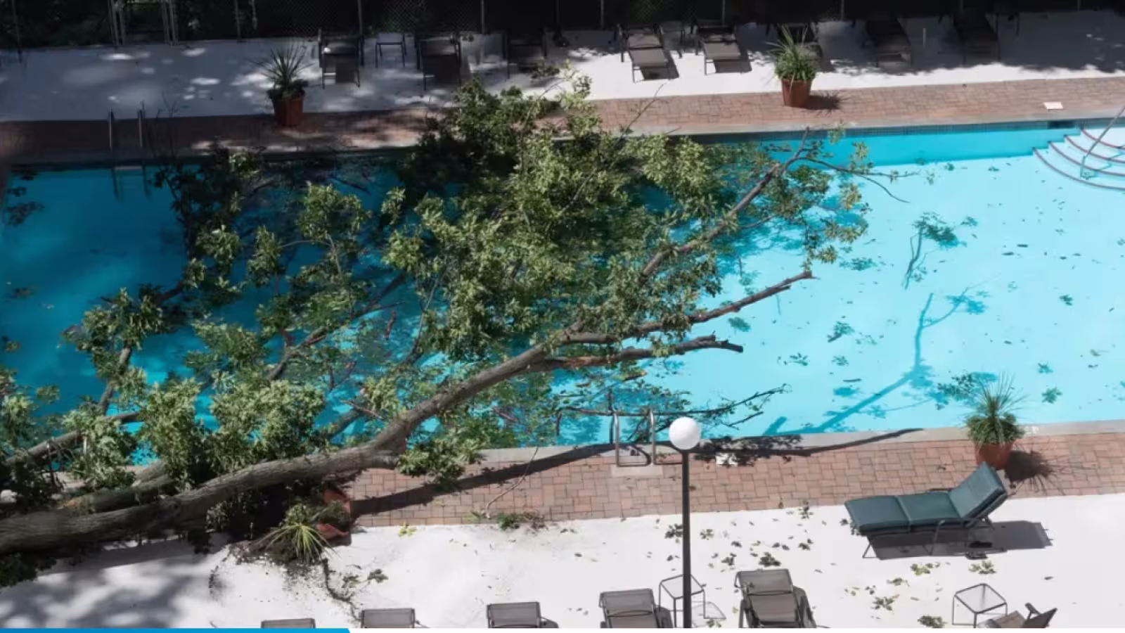 La vie ne tient qu’à un fil : Elle est tuée par un arbre en nageant dans une piscine