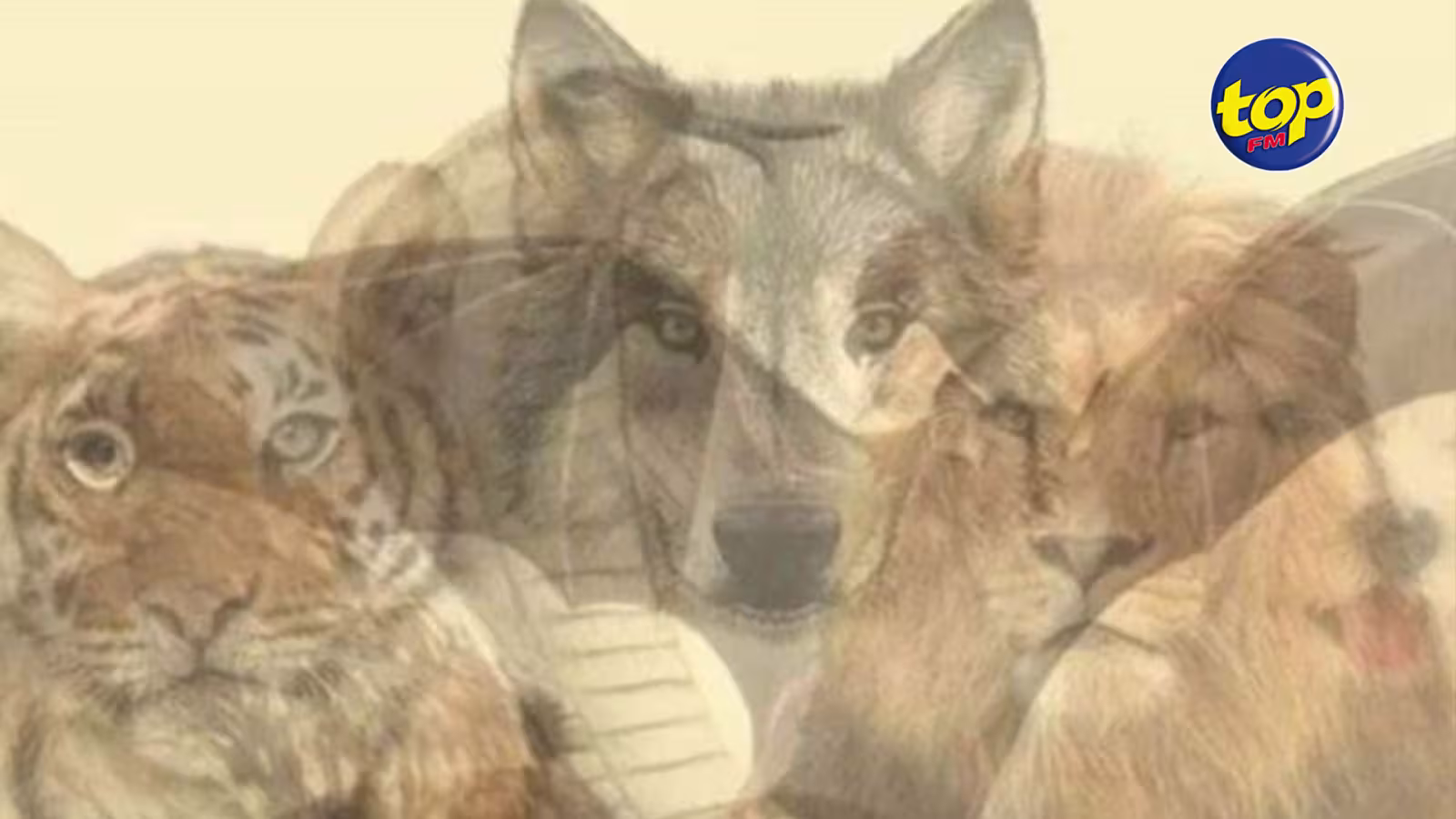 Quel animal voyez-vous en premier ? Ce test visuel va révéler les secrets enfouis de votre personnalité