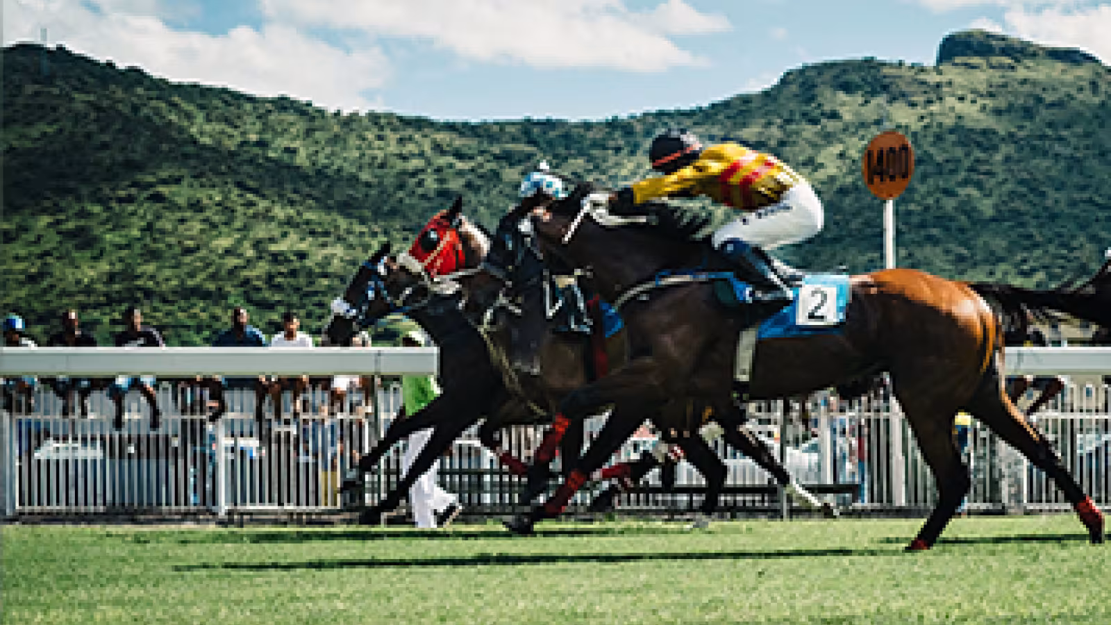 Hippisme : Global Equestrian Ltd annonce la cessation de ses activités