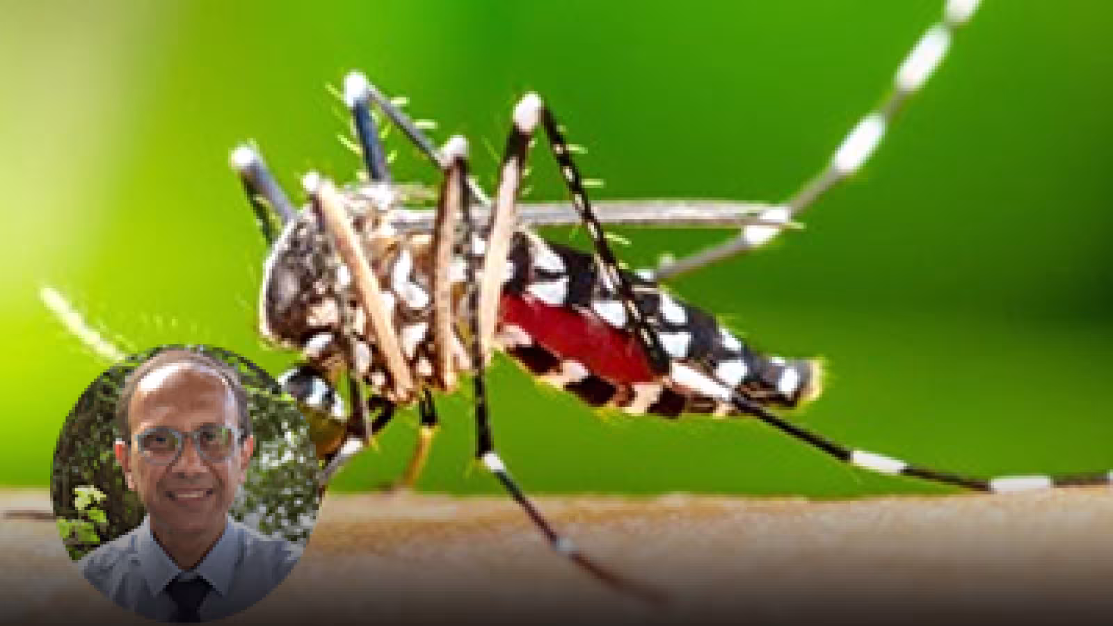Chikungunya et dengue : Attention Fièvre, douleurs articulaires, éruptions cutanées !!!