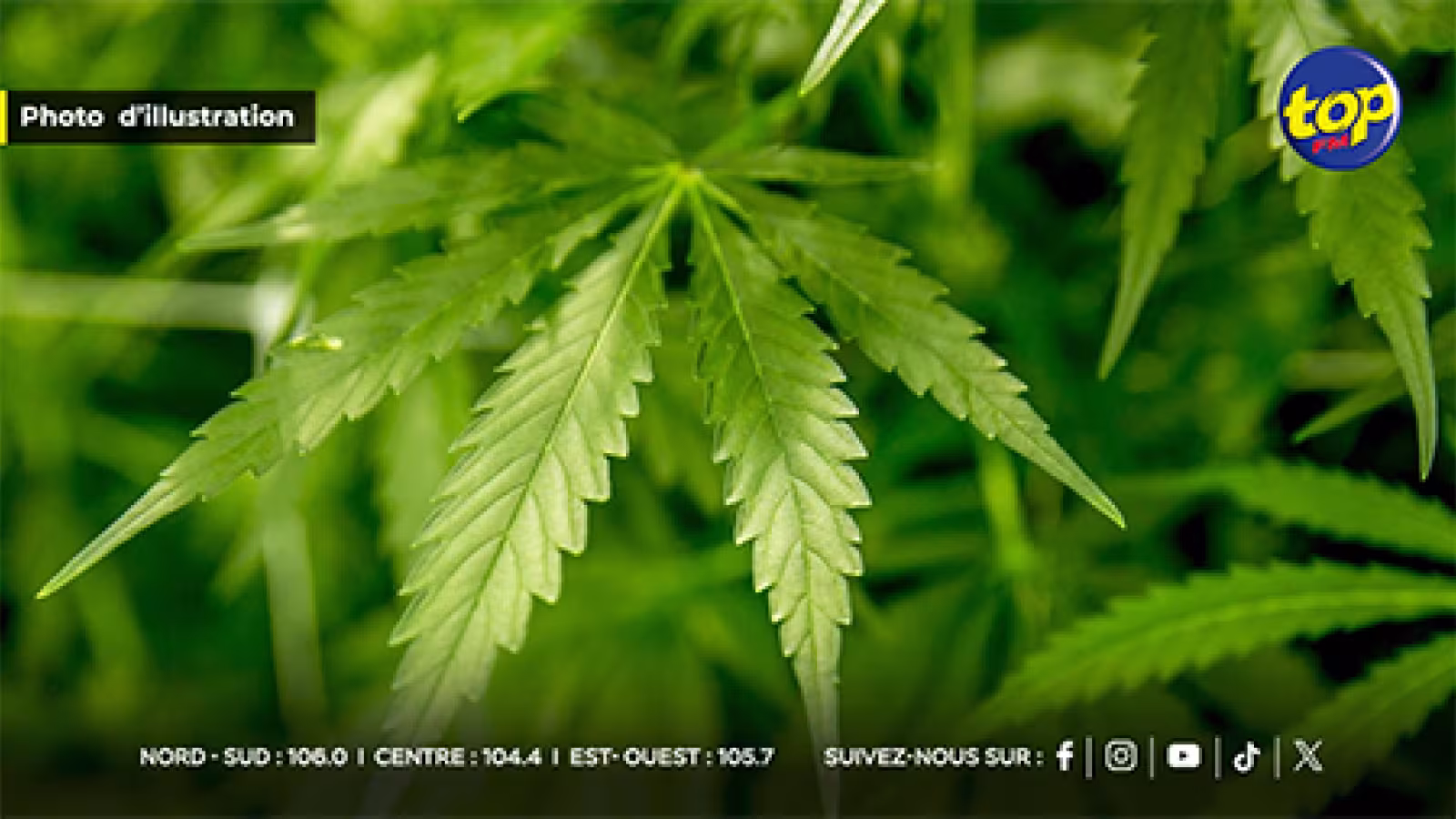 Coup de filet dans la rade de Port-Louis : 7,4 kilos de cannabis saisis