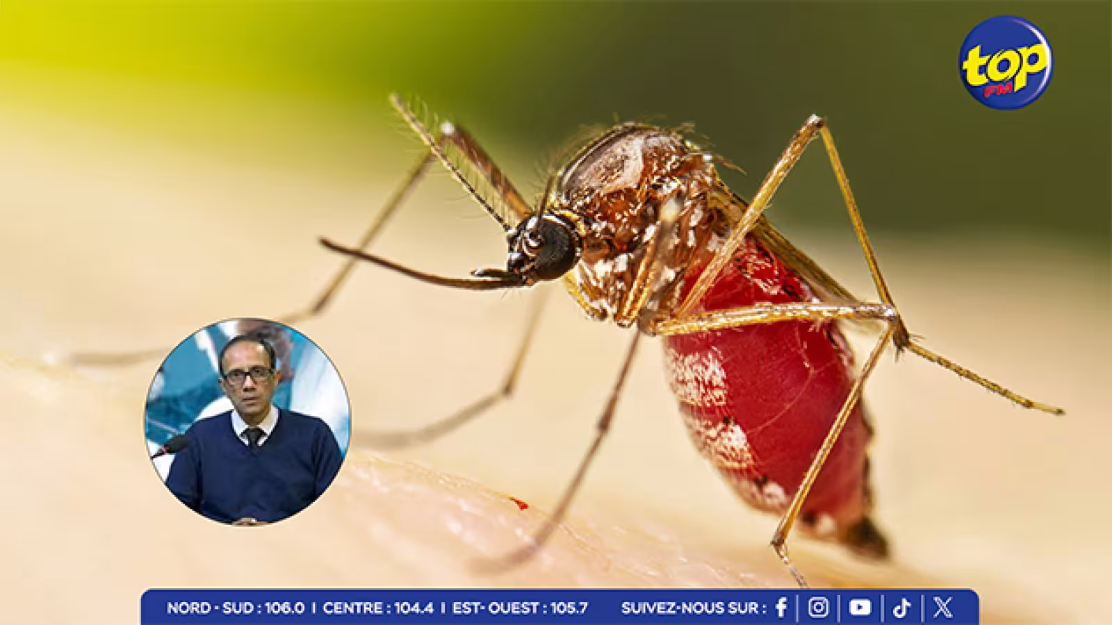 Chikungunya : deux enfants hospitalisés, 43 cas recensés à Maurice