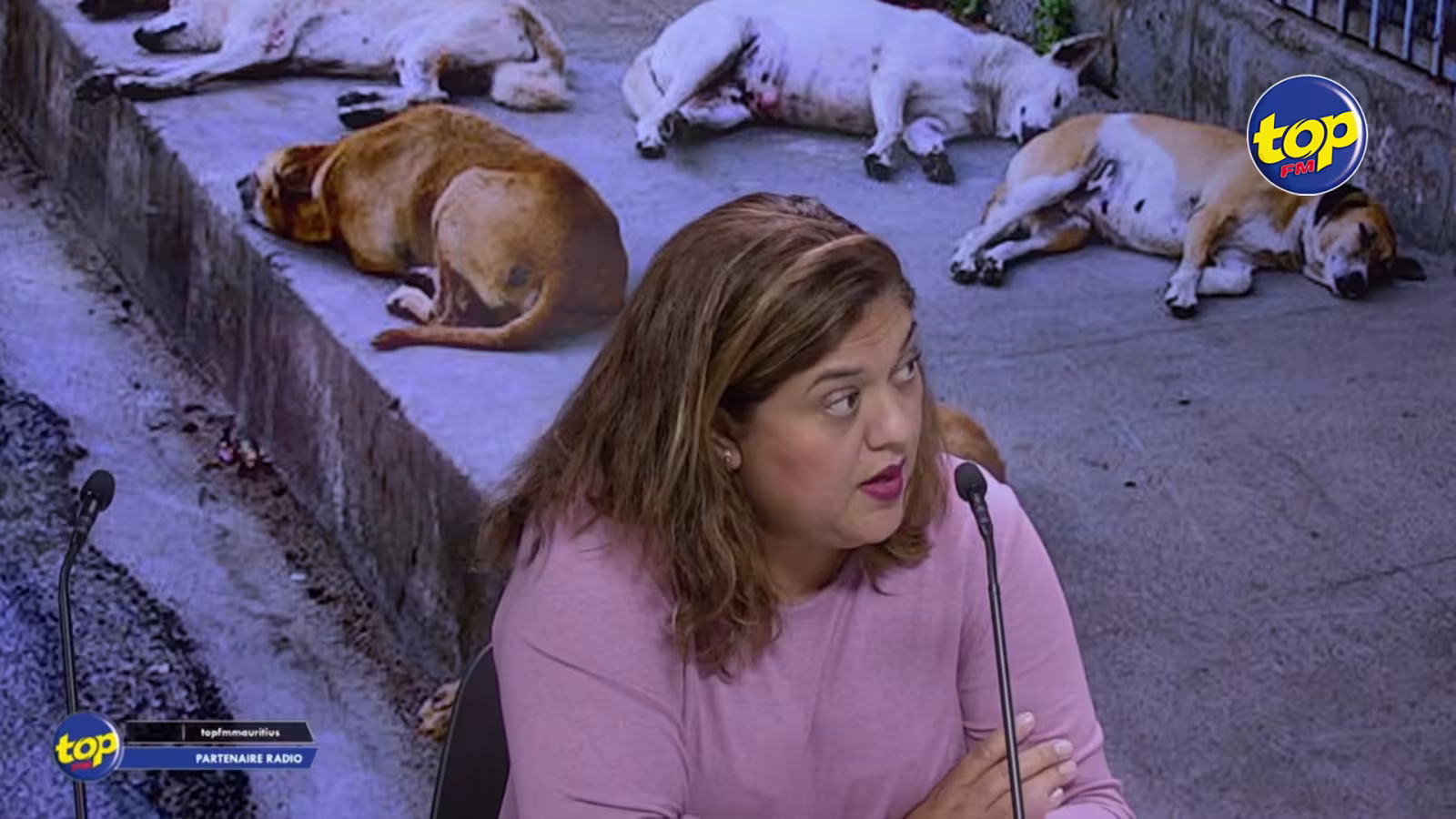 Hausse des cas d’abandon et de cruauté : « Nu nepli capav financially…on a besoin de nourriture tous les jours pour les 200 chiens sous notre responsabilité, Aidez-nous !», plaide  la secouriste  Usha Oodit