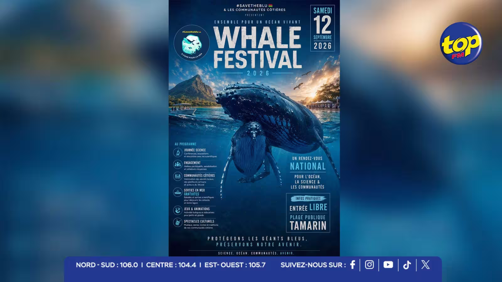 WHALE-FESTIVAL