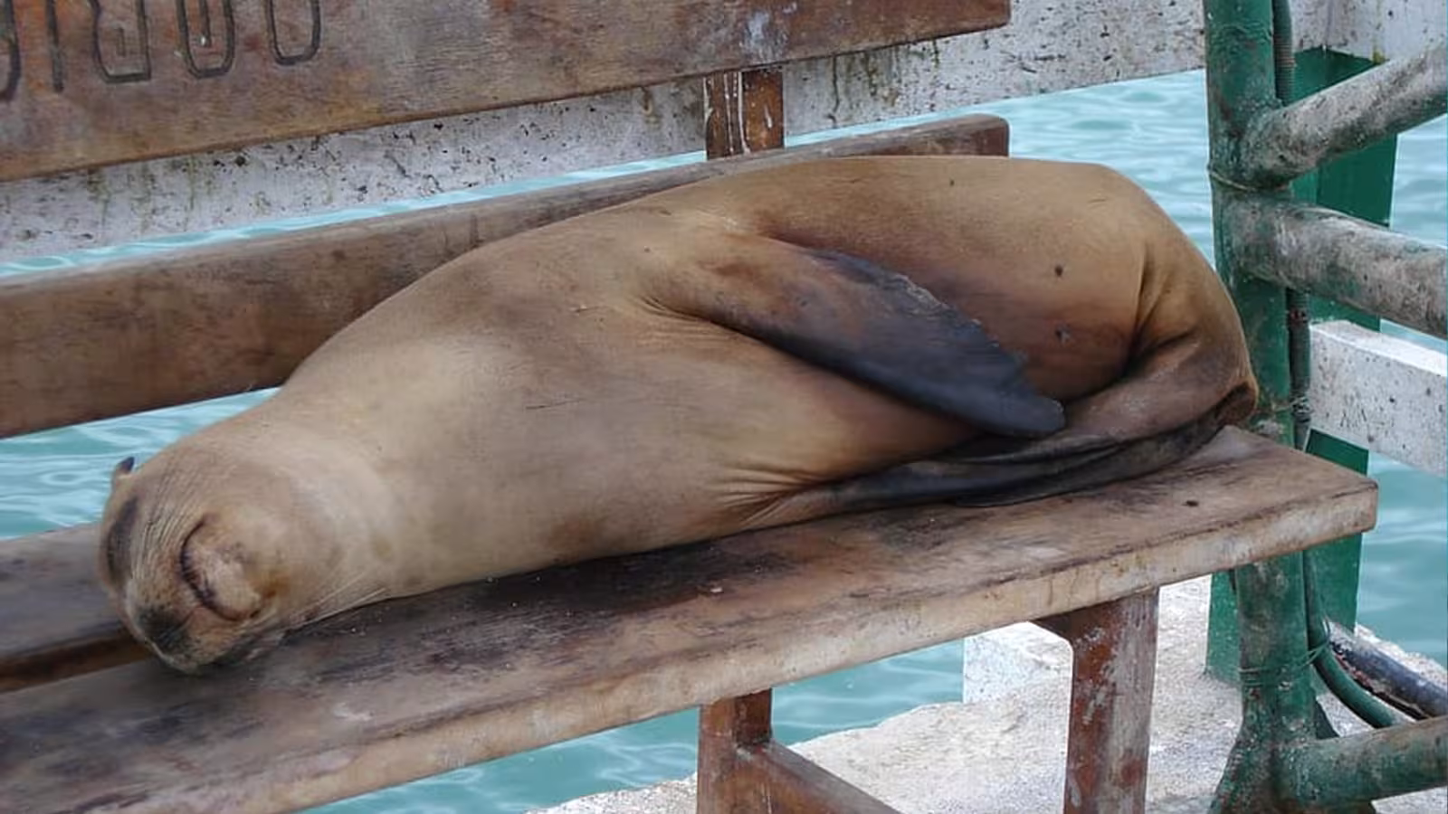 Mieux dormir en écoutant le bruit de la nature