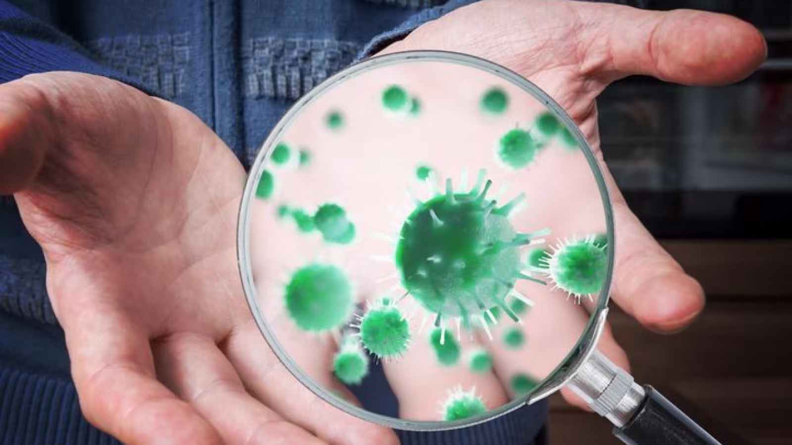 Menace sur la santé mondiale : la levure mortelle Candida auris détectée au Brésil