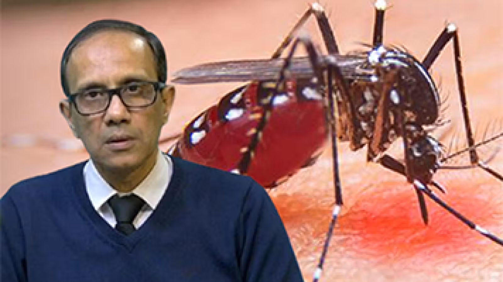 Deux Réunionnais décèdent après avoir contracté le chikungunya : « Il ne faut pas banaliser cette maladie », avertit le Dr Fazil Khodabocus