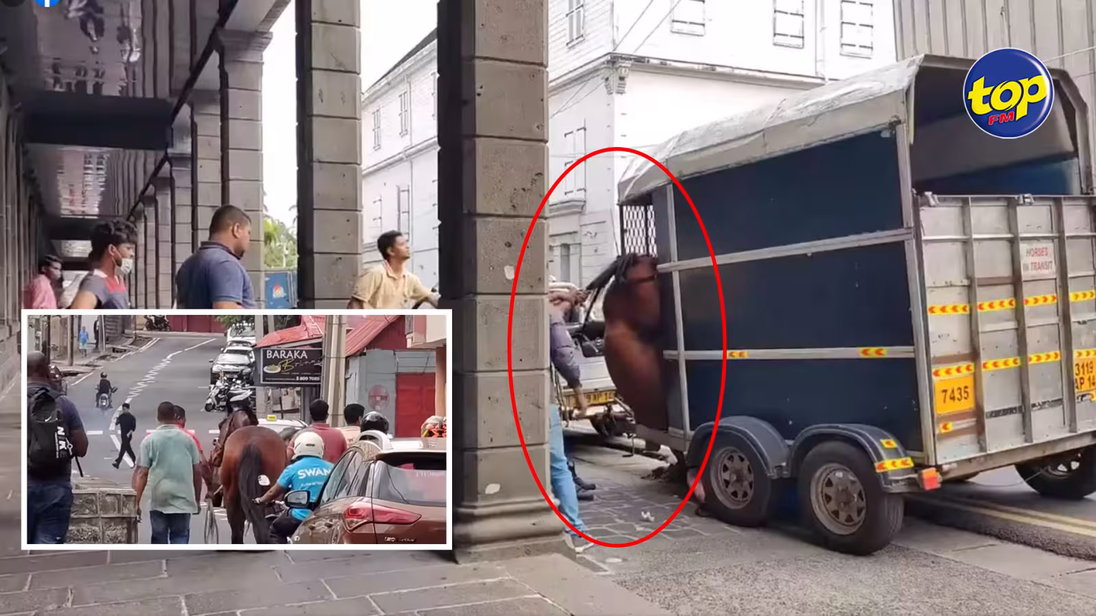 Devant le Bâtiment du Trésor : Un cheval se retrouve coincé dans sa roulotte…
