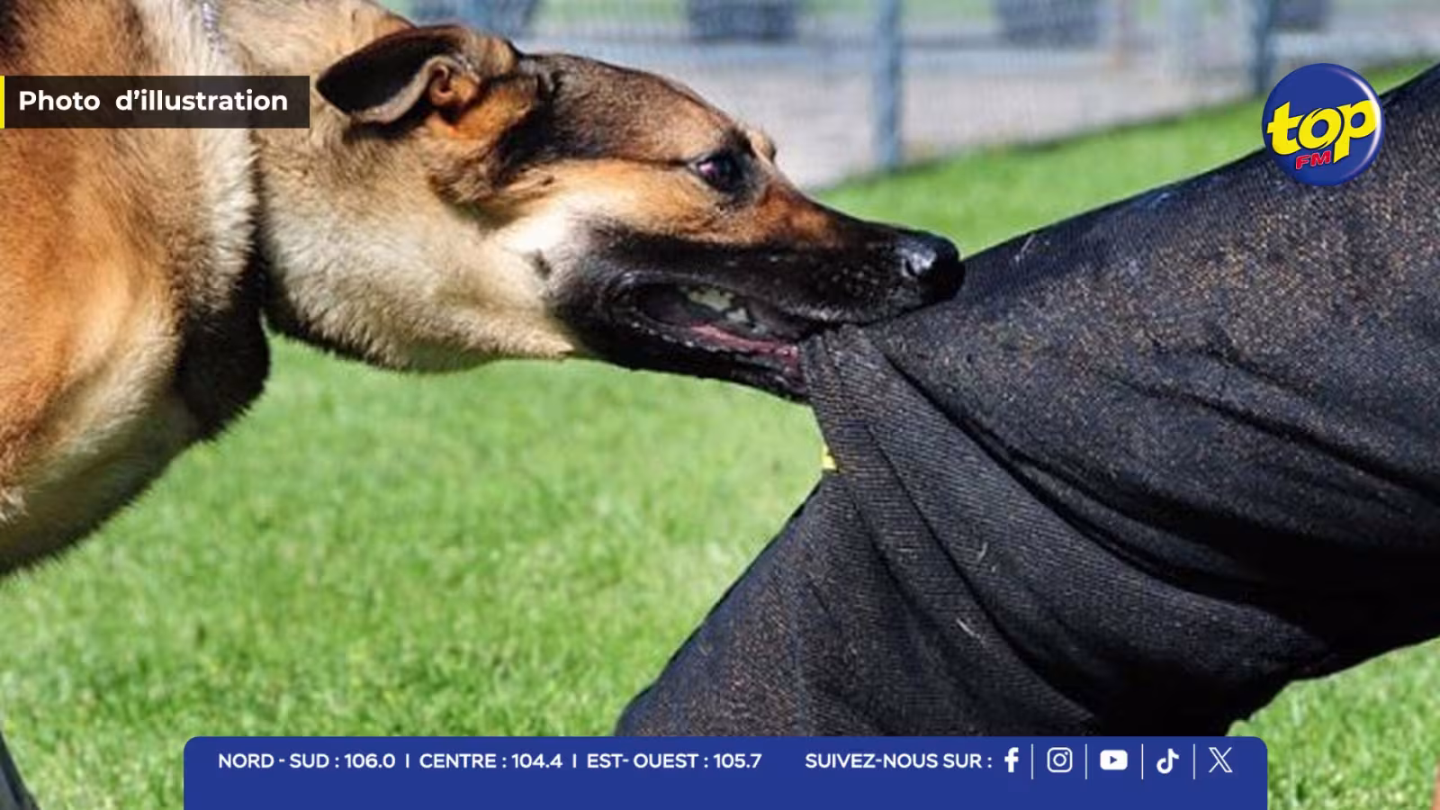 Enième cas de maltraitance envers les animaux : Sameer Golam de l’ONG  Second chance animal rescue insiste pour la mise sur pied d’une brigade pour la protection des animaux