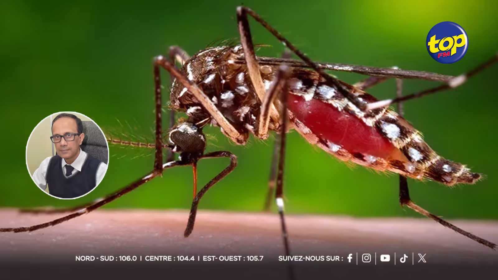 chikungunya