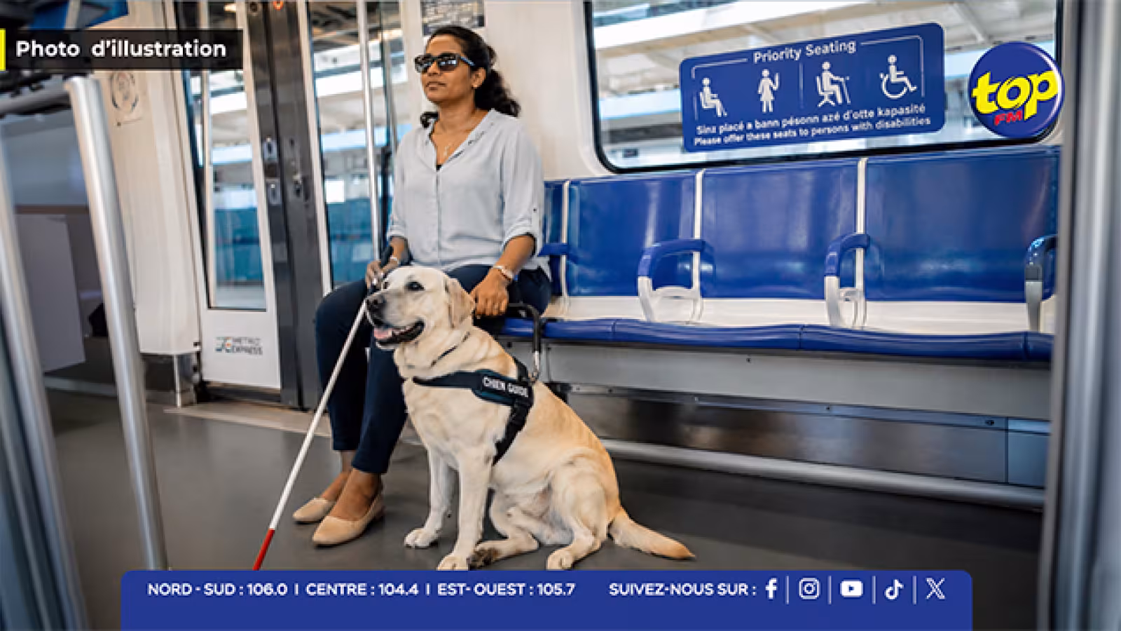 Inclusion et accessibilité : Metro Express ouvre grand ses portes aux chiens guides et d’assistance