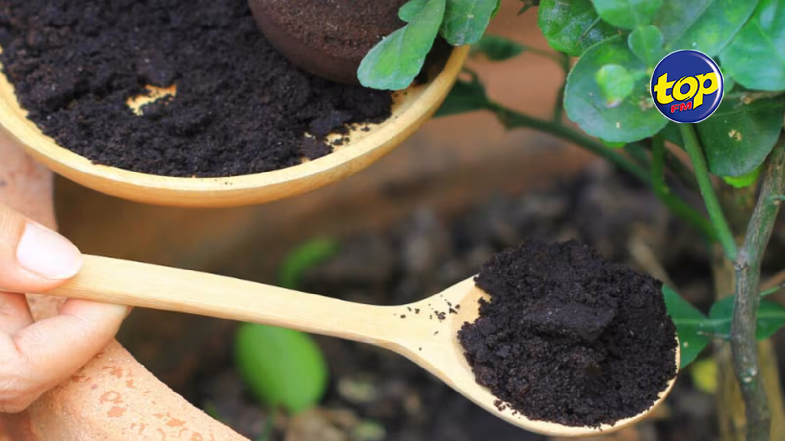 Afin de réduire l’utilisation des fertilisants : Les Nations unies viennent en aide à Maurice