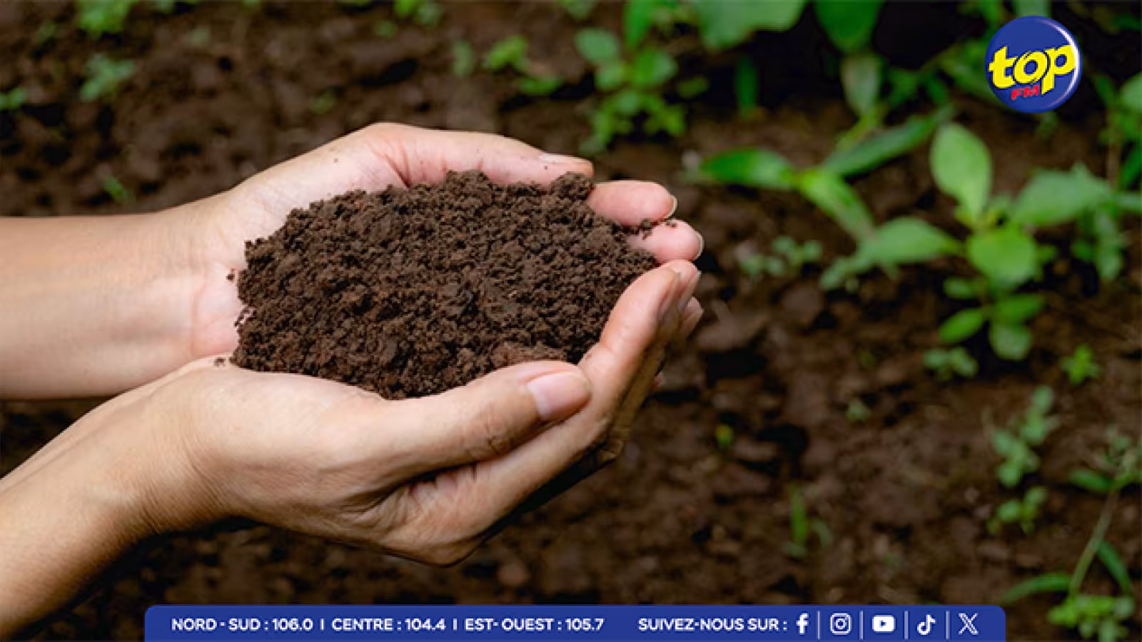 Production agro-alimentaire : Les défis de l’accès à la terre pour les planteurs