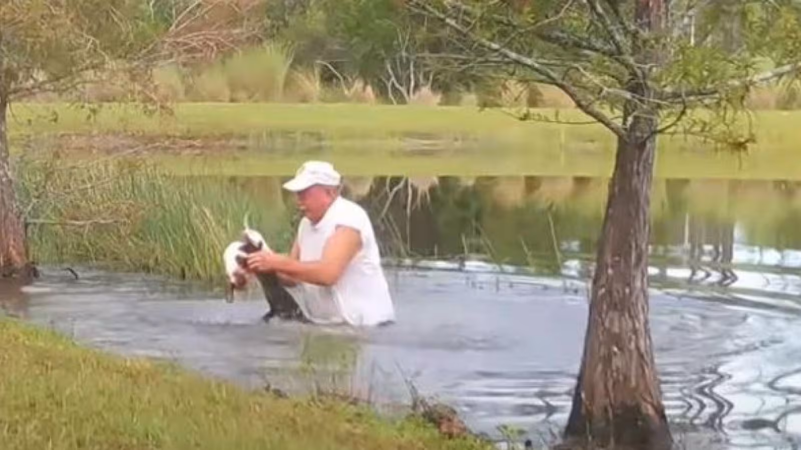 Un homme de 74 ans sauve son chiot des mâchoires d’un alligator en Floride