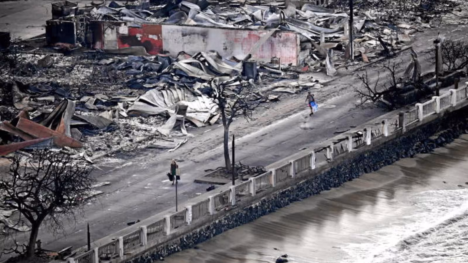 Incendies à Hawaï : le bilan humain revu à la baisse, 97 morts