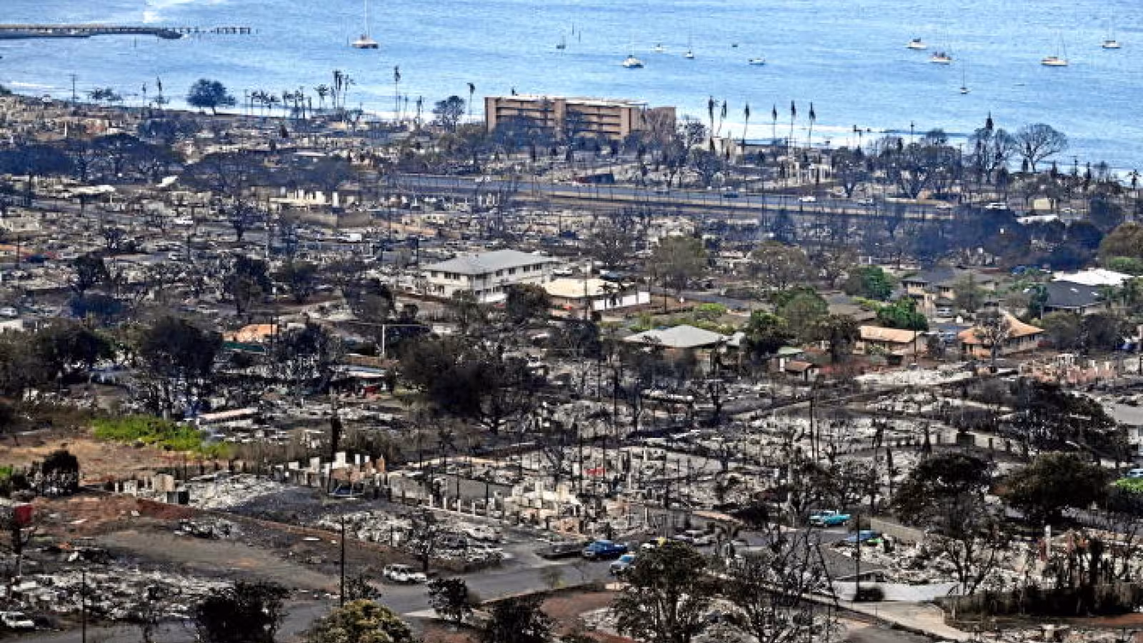 Hawaï : le bilan humain des incendies dépasse les 100 morts