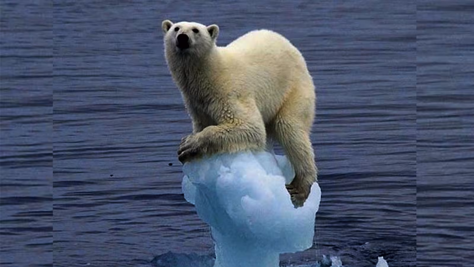 Journée Mondiale du Climat