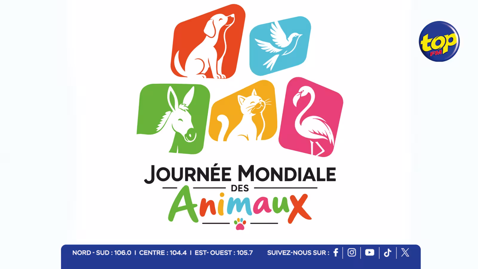 Journée mondiale des animaux : Arvin Boolell appelle à une mobilisation collective pour résoudre le problème des chiens errants à Maurice