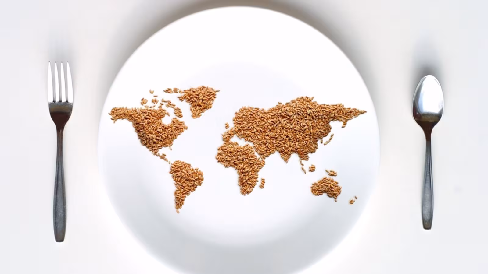 Journée mondiale contre la faim