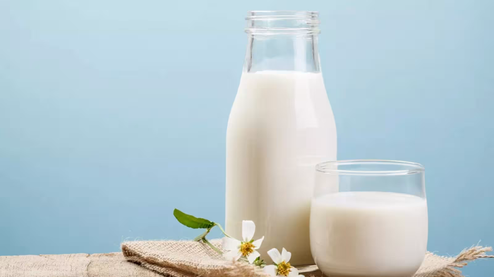 Journée mondiale du lait