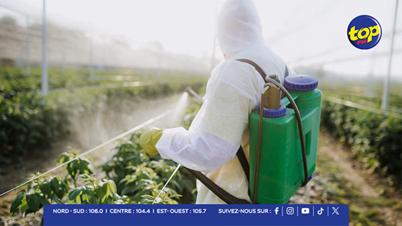 Pesticides et santé dans ‘Korek Pas Korek’ : « Nu bizin fer ban suivi individuel sak planteur », lance Kreepalloo Sunghoon