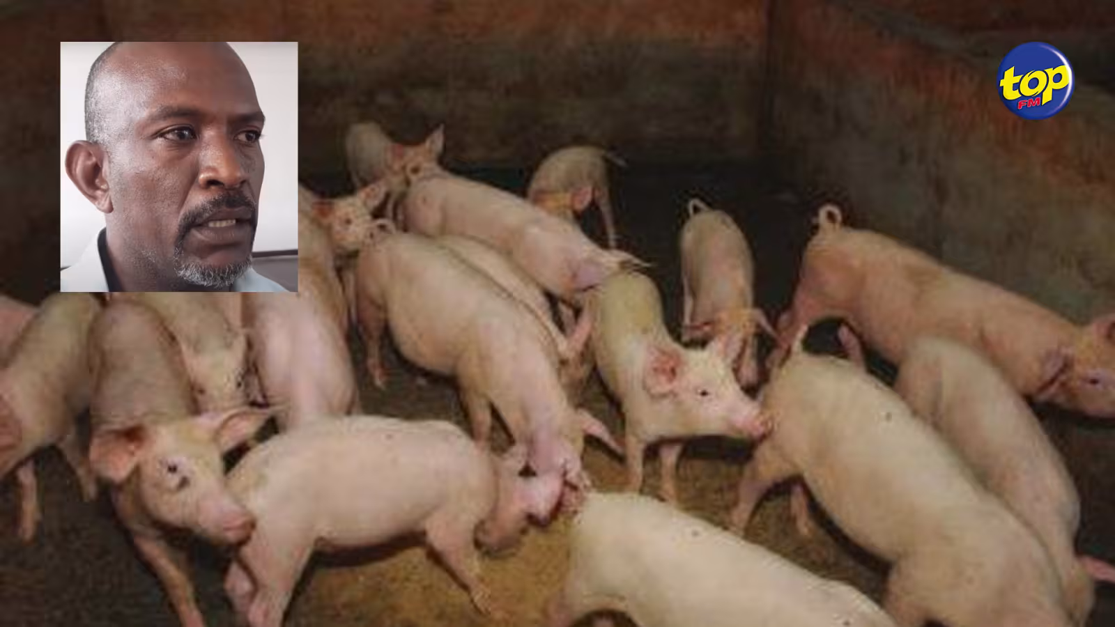 Consultations pré-budgétaires : « Nous n’avons pas reçu d’invitation », affirme Michael Marguerite, de la Mauritius Pig Marketing Cooperative Federation