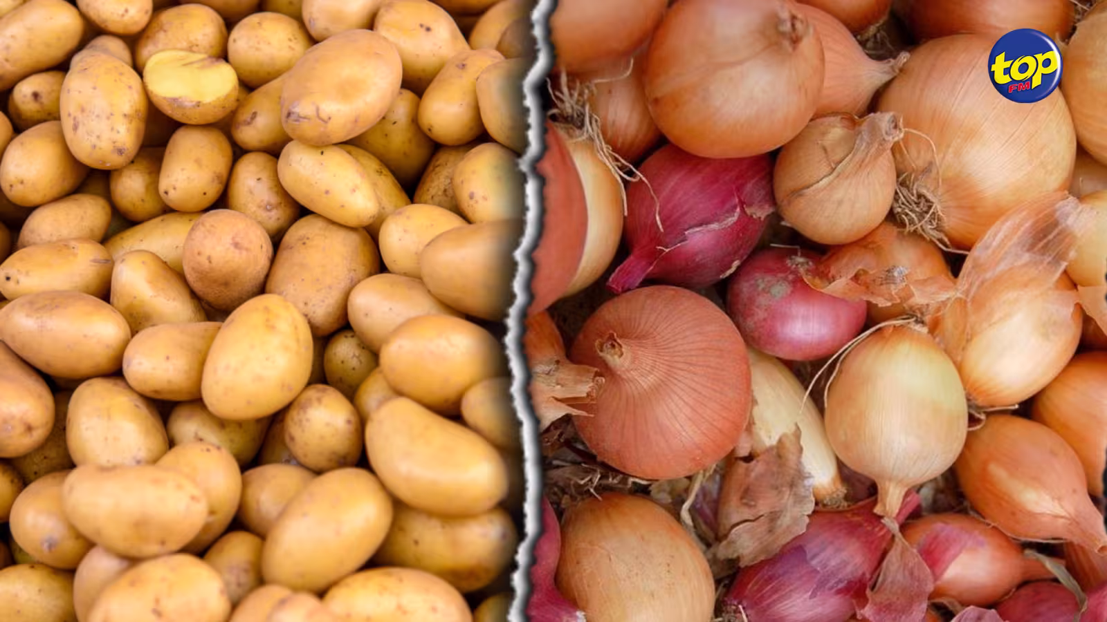 Pomme de terre et oignion : L’Agricultural Marketing Board devient le seul importateur pour l’année 2021