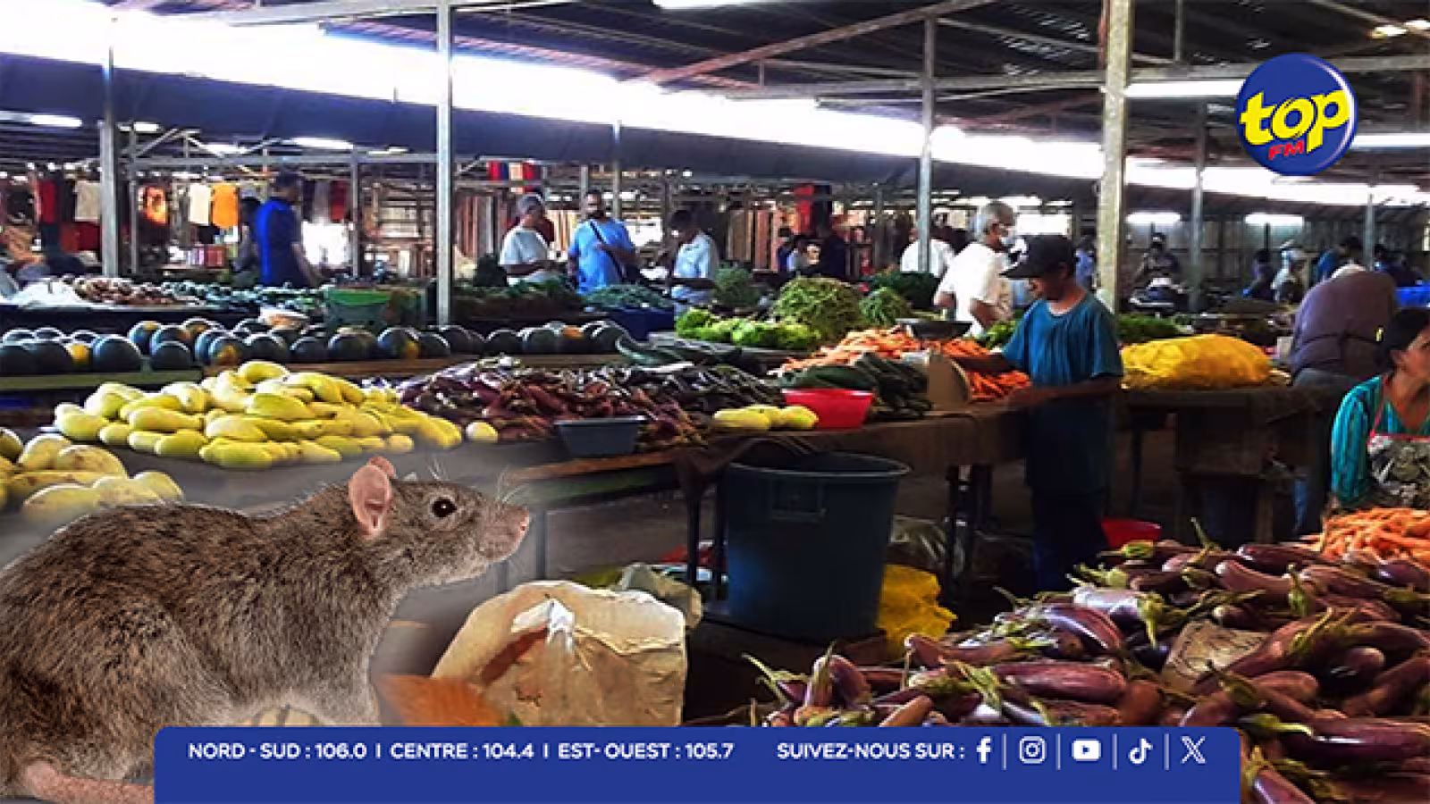 Insalubrité au cœur du marché de Curepipe : « Nou pa gagn delo, tou lé zour lé rat », dénoncent les marchands 