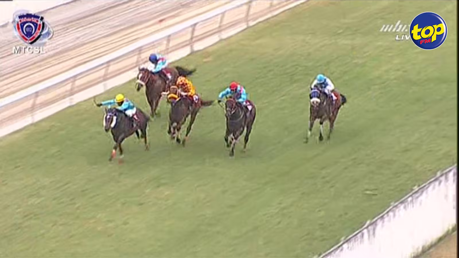 Hippisme : l’écurie Gujadhur remporte haut la main la Duchesse avec Royal Wulff !