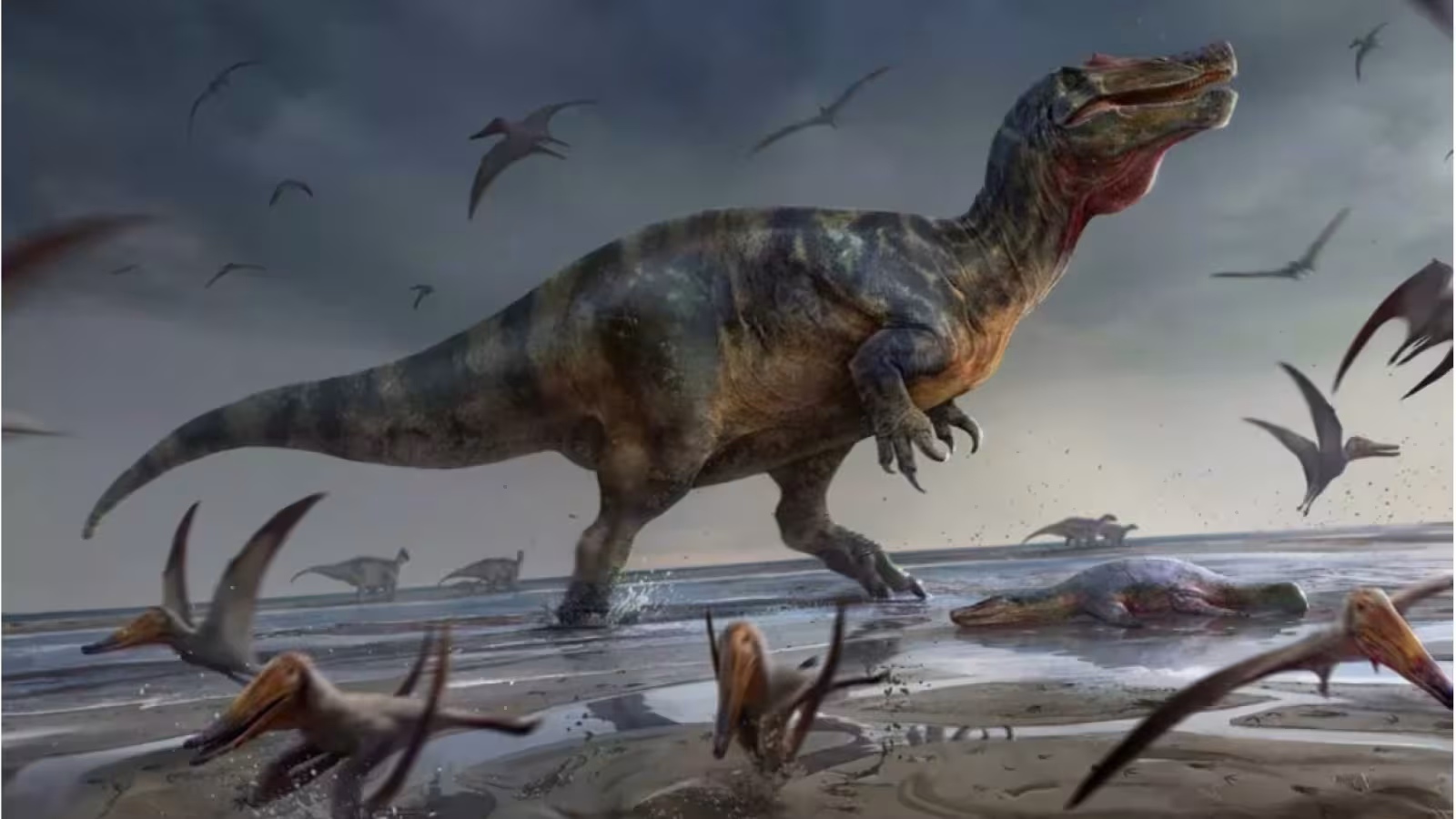 Un super-prédateur gigantesque découvert sur l’île de Wight