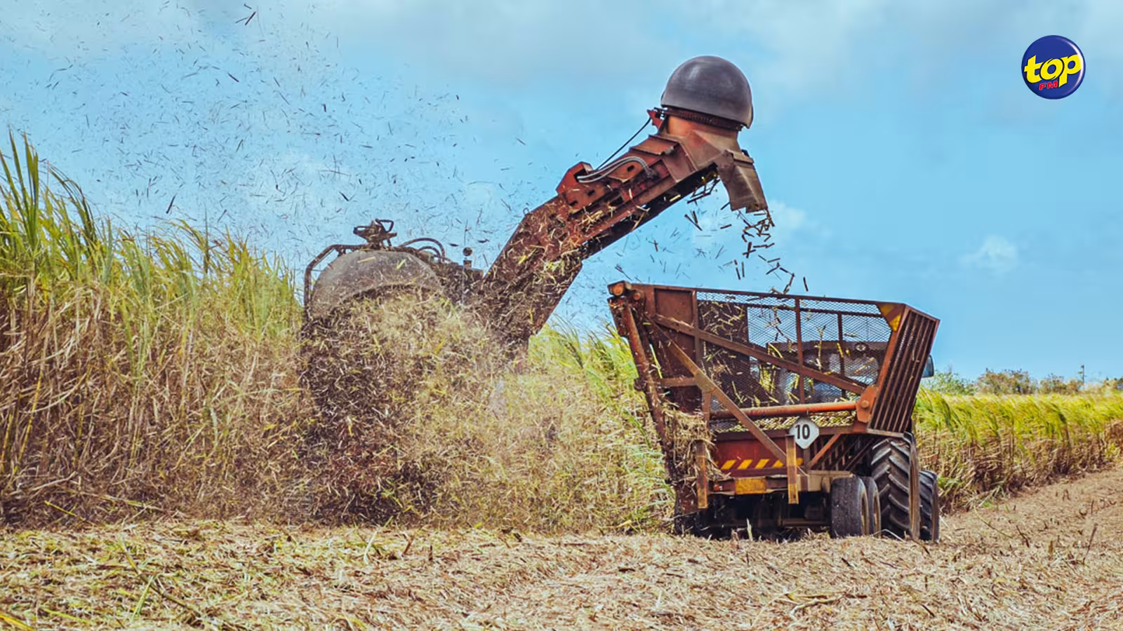 Industrie sucrière : La récolte 2020 déclarée une Event Year