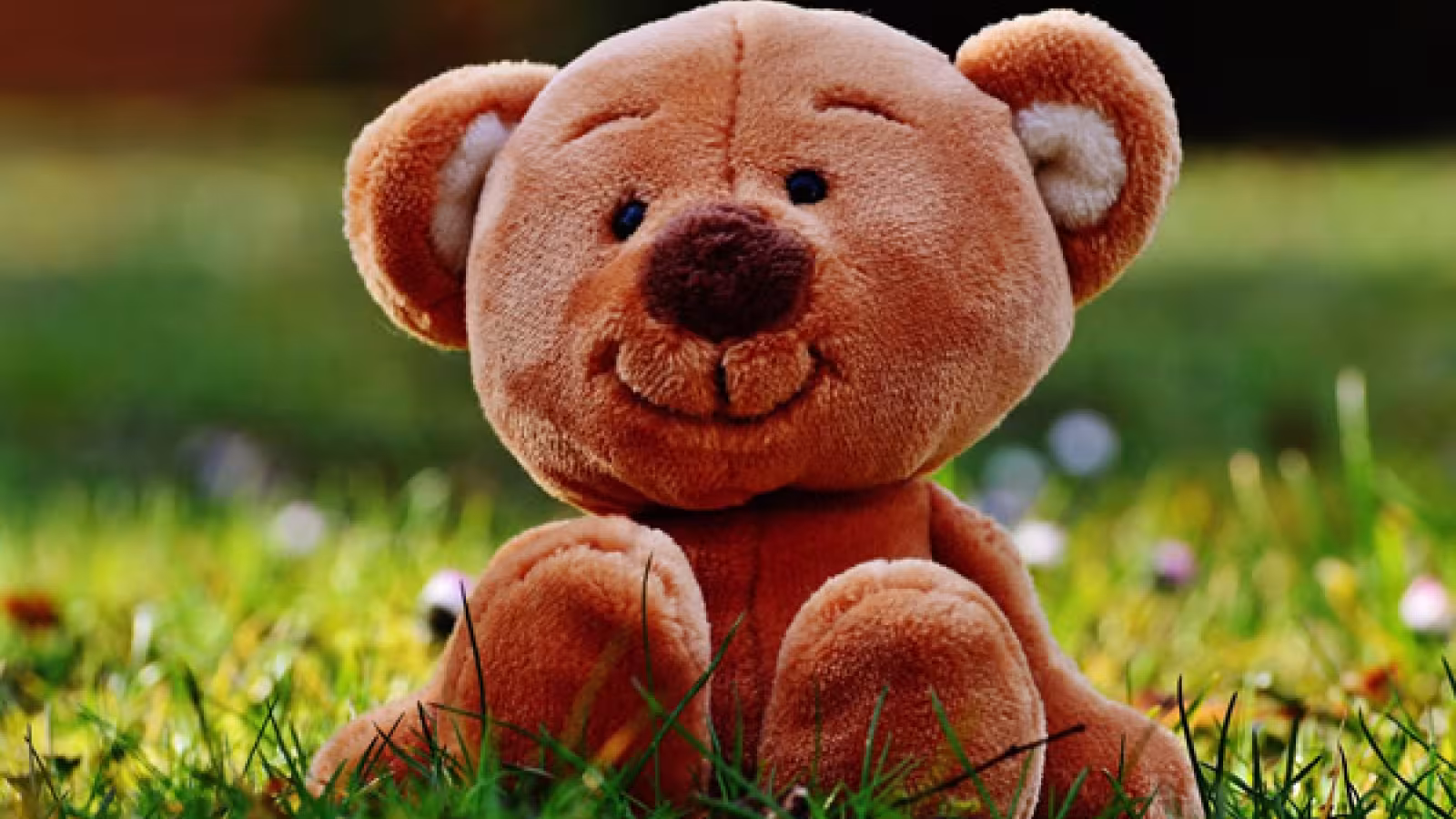 Journée mondiale de la peluche