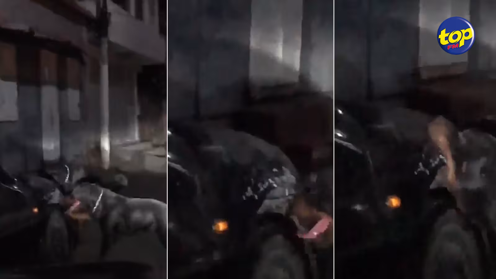 Agression d’un habitant de Port-Louis par deux rottweilers : « Dans le passé, les deux molosses se sont attaqués à des voitures », affirme le député Osman Mahomed