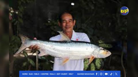 Cambodge - des poissons géants que l'on pensait disparus repérés dans le Mékong