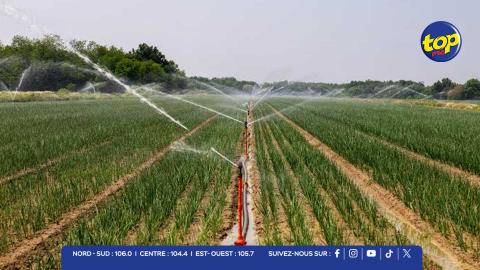 IRRIGATION