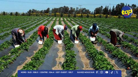 Production-alimentaire