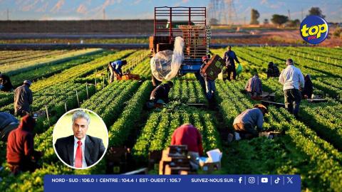 Secteur-agricole