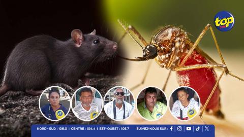 chikungunya-leptospirose