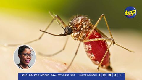 chikungunya