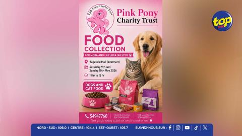 Pink Pony Charity