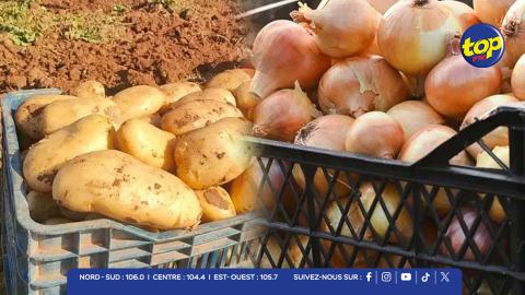 pommes de terre et oignons