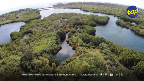 projet de Roches-Noires Smart City