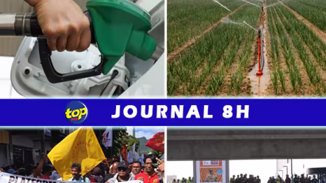 PODCAST-8H