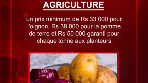 Agriculture : un prix minimum de Rs 33 000 pour l’oignon, Rs 38 000 pour la pomme de terre et Rs 50 000 garanti pour chaque tonne aux planteurs