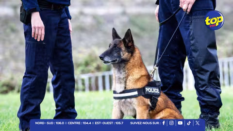 Flic-en-Flac : un chien renifleur mène à une cache contenant Rs 2,9 millions