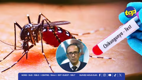 Chikungunya : 44 nouveaux cas enregistrés en une journée, forte concentration à Quatre-Bornes