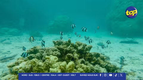 Après l’Ocean Week 2026 : l’économie bleue appelée à devenir un pilier majeur du développement mauricien 