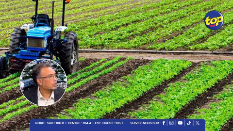 Secteur agricole : Ryad Subratty dénonce un système « abusif »  « Ce n’est pas la terre le vrai problème… »